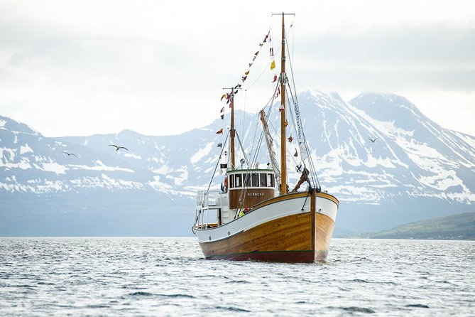 1 Hour Photo & History Cruise - Meet Hermes II, a 1917 cargo boat with modern comfort below deck