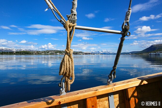 1 Hour Photo & History Cruise - What the guide does on board: stories, practical sea facts, and laughs