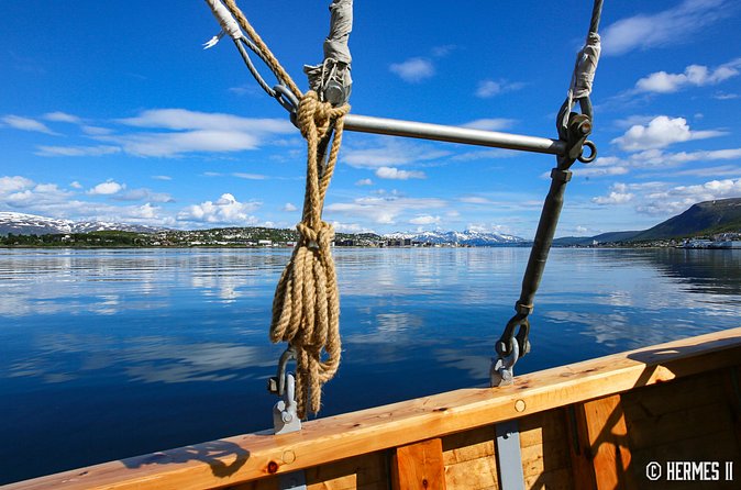 1 Hour Photo & History Cruise - Cold-weather reality in Tromsø: how to dress so the wind does not ruin it