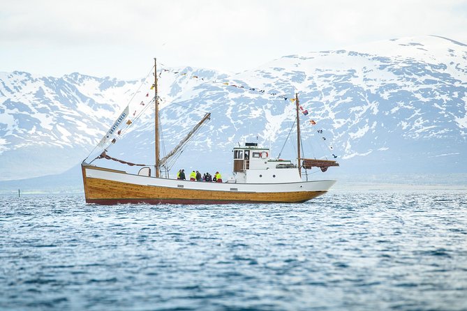 1 Hour Photo & History Cruise - Timing and where you meet: planning your Tromsø day around the cruise