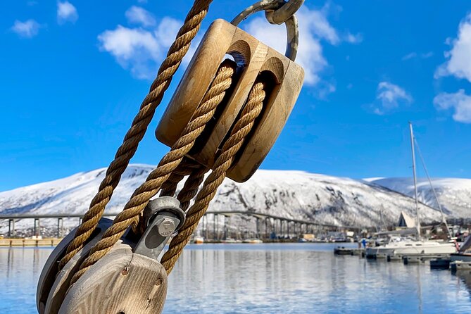 1 Hour Photo & History Cruise - One hour, big viewpoints: Tromsø city, Fjellheisen, Polaria, and the bridge