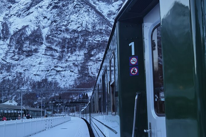 1Day Tour from Bergen to Flåm, Nærøyfjord Cruise & Stegastein - Quick Hits Before You Go