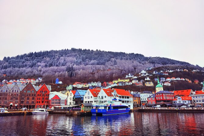 1Day Tour from Bergen to Flåm, Nærøyfjord Cruise & Stegastein - Food, Timing, and Weather: The Stuff That Makes or Breaks the Day