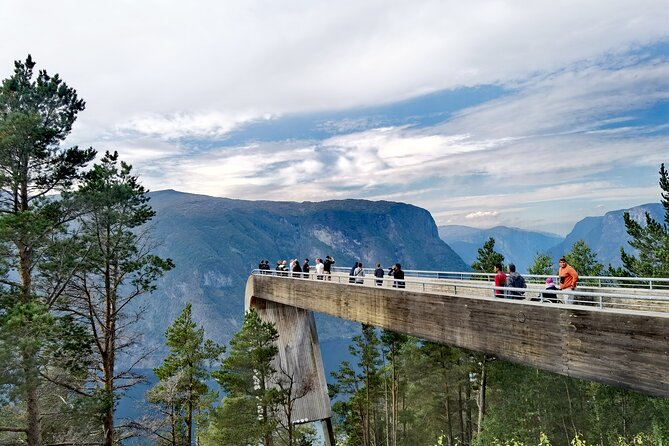 1Day Tour from Bergen to Flåm, Nærøyfjord Cruise & Stegastein - The Best Moments: What You’ll Remember