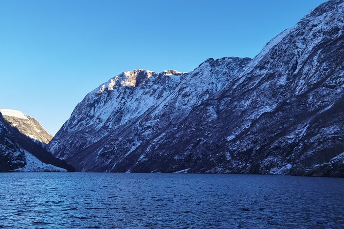 1Day Tour from Bergen to Flåm, Nærøyfjord Cruise & Stegastein - Private Pickup and a Real Guide: What You Can Expect From Liang