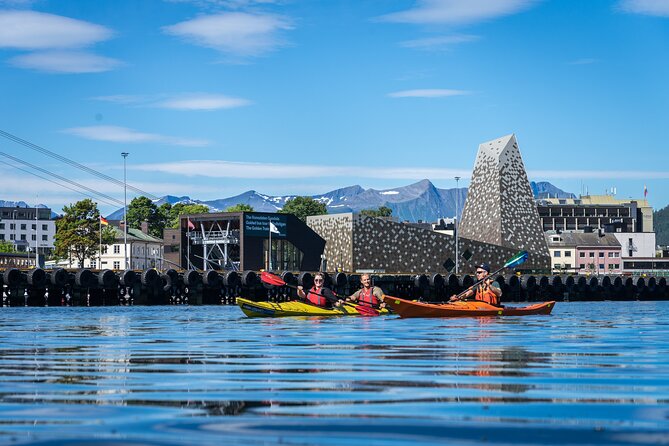 3-Hour Kayak Tour in Åndalsnes - Isfjorden and toward Romsdalsalpene: the real 2-hour fjord experience