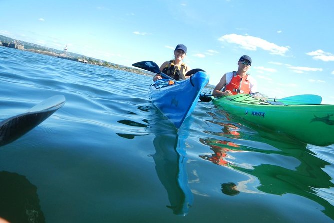 3- Hour Kayak Tour on the Oslofjord - Pacing, Skills, and Choosing Single vs Double Kayaks