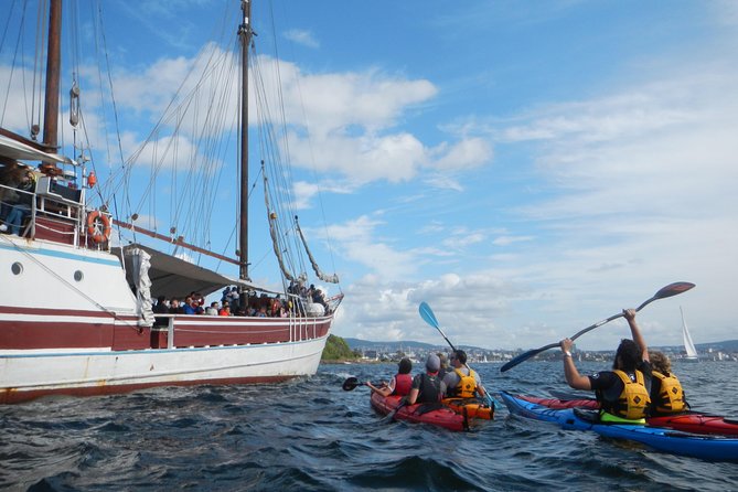 3- Hour Kayak Tour on the Oslofjord - Guide Style: Learning Basics Without Losing the Fun