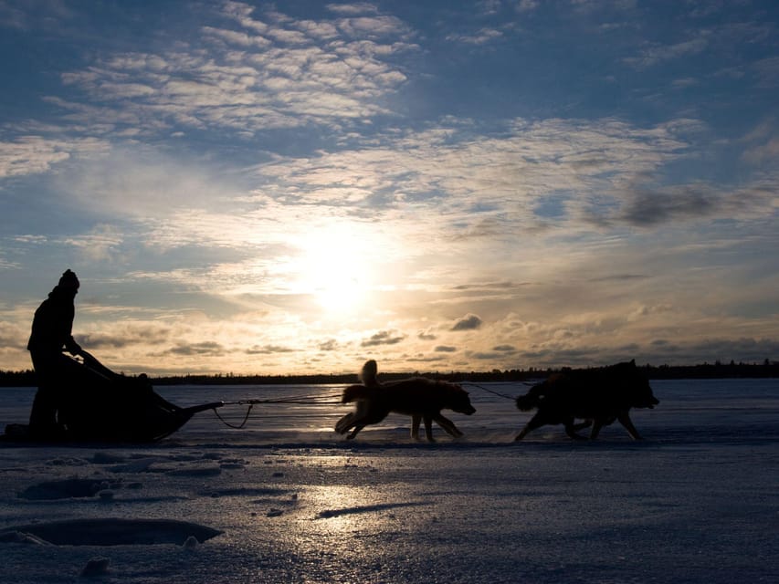 4hr Dog Sledding Trip on Finnmarksvidda - Gargia lodge warm-up, coffee, and local storytelling