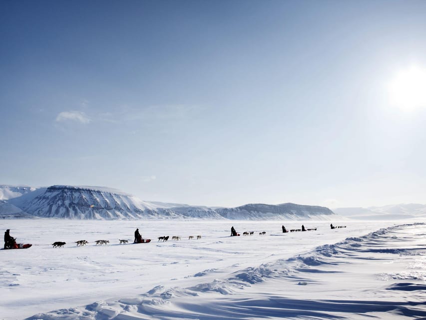 4hr Dog Sledding Trip on Finnmarksvidda - Price and value: what $340 buys you in real terms