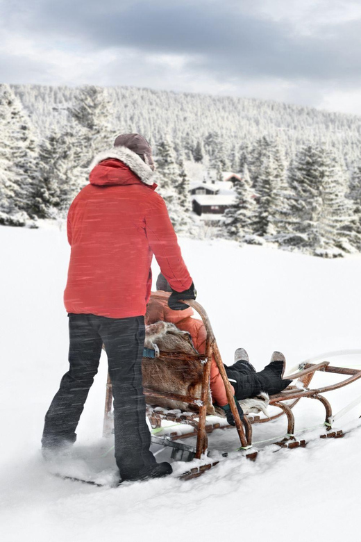 4hr Dog Sledding Trip on Finnmarksvidda - Warm clothing and training that gets you to the controls