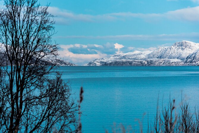5 Fjords Tour by Minivan in 4 Hours - The value of a 4-hour “5 fjords” loop from Tromsø