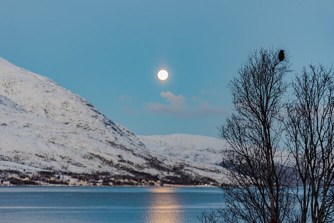 5 Fjords Tour by Minivan in 4 Hours - Fjord stops 1 to 3: Ersfjordbotn, Kaldfjord, and Grotfjord