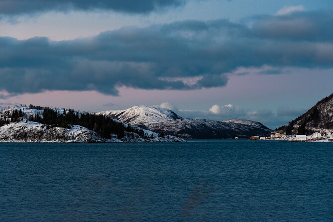 5 Fjords Tour by Minivan in 4 Hours - The guide factor: Alex and why the stories matter
