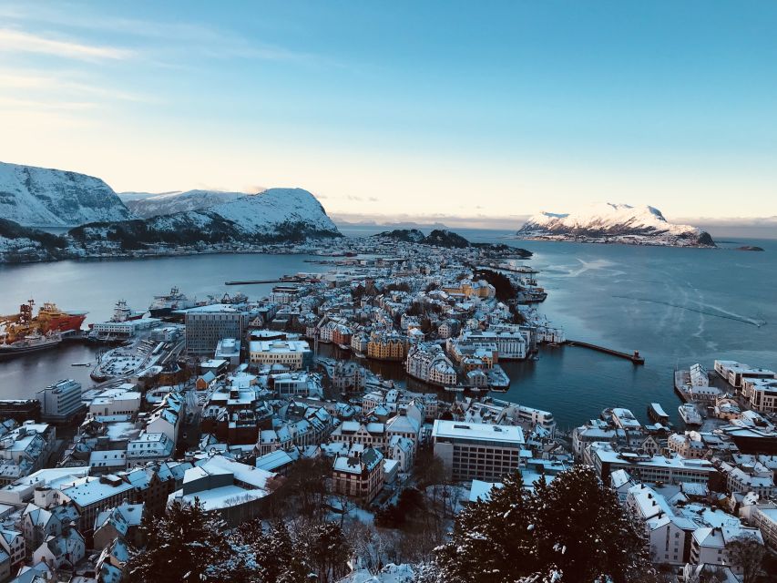 Ålesund: Ålesund and Surrounding Islands Audio Guide Tour - The Audio Guide Experience: Helpful, but Plan for Tech Gaps