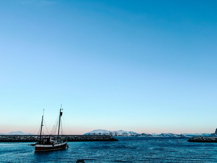 Ålesund: Ålesund and Surrounding Islands Audio Guide Tour - Meeting the Bus Between Ålesund Bus Station and the Pier