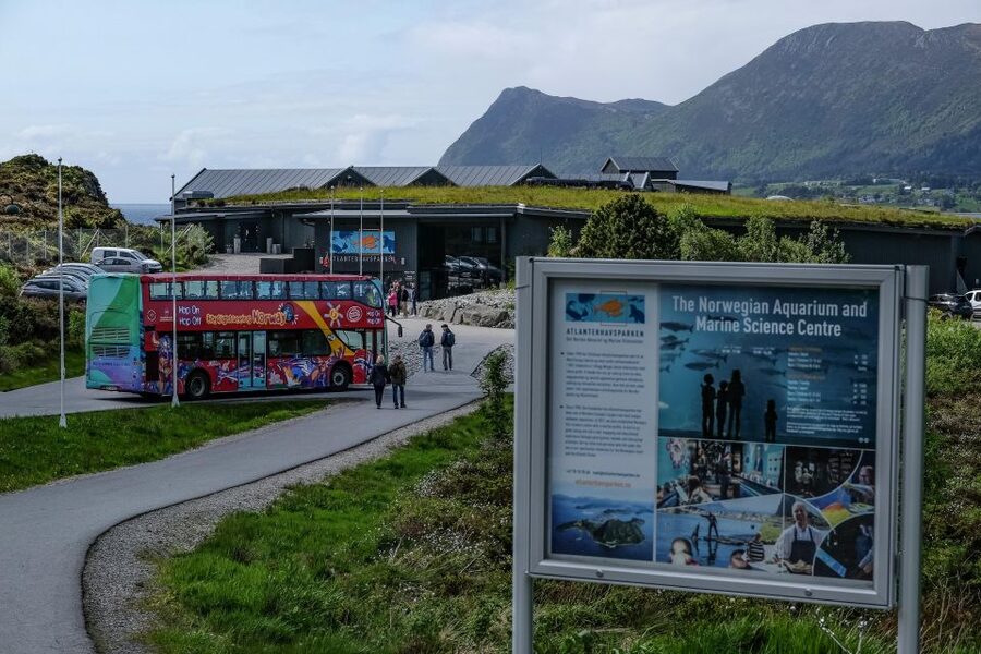 Alesund: City Sightseeing Hop-On Hop-Off Bus Tour - Who should book this, and who should skip it