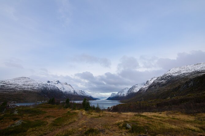 All-Inclusive Arctic Fjords and Sommarøy Scenic Tour - Fjords and beach time, done the easy way from Tromsø