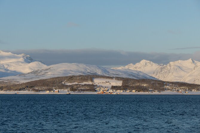 All-Inclusive Arctic Fjords and Sommarøy Scenic Tour - The photo package you actually care about
