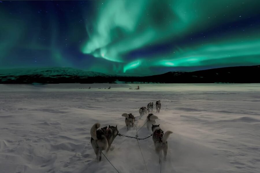 Alta: Dog Sledding Trip under the Northern Lights - Alta, Gargia, and Finnmarksvidda: why this route feels special