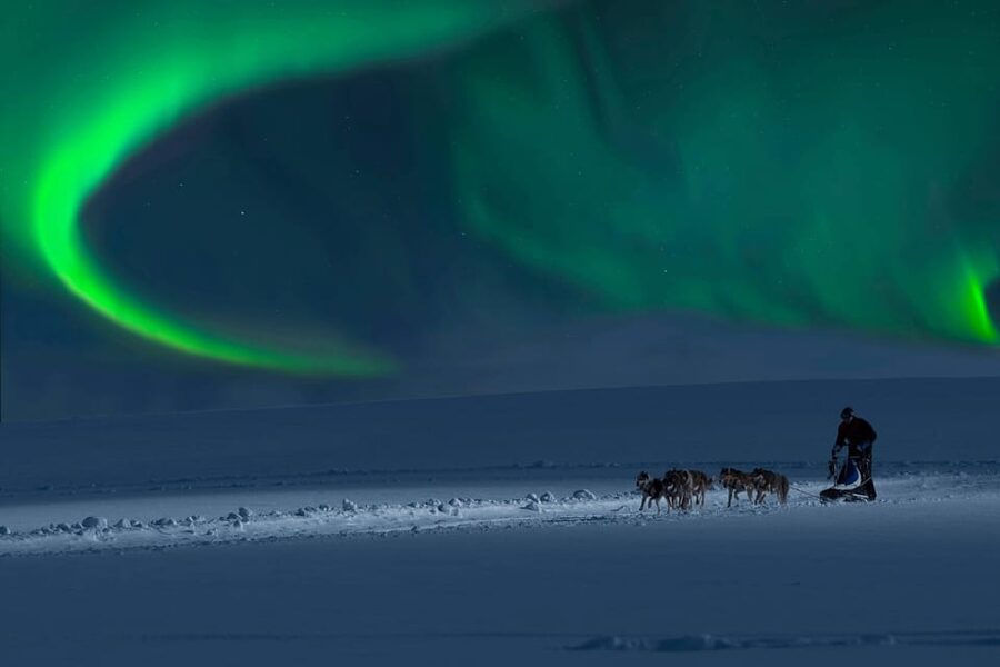 Alta: Dog Sledding Trip under the Northern Lights - Gargia mountain lodge: coffee, history, and a final dog meet