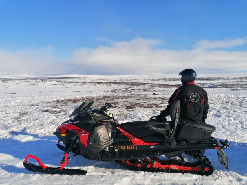 Alta: Guided Snowmobile Safari on Finnmarksvidda With Snacks - Price and Value for a 5-Hour Arctic Adventure