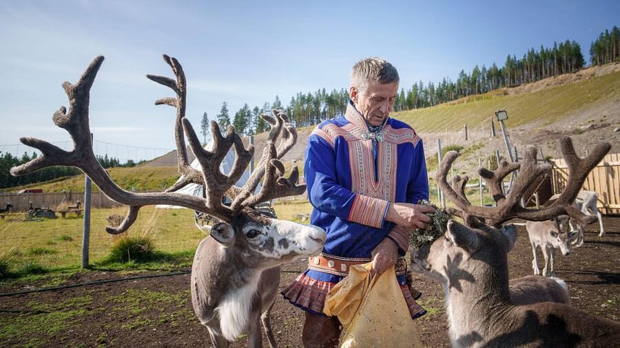 Alta: Reindeer - A carrier of Sámi Culture - Key Highlights You Should Not Miss