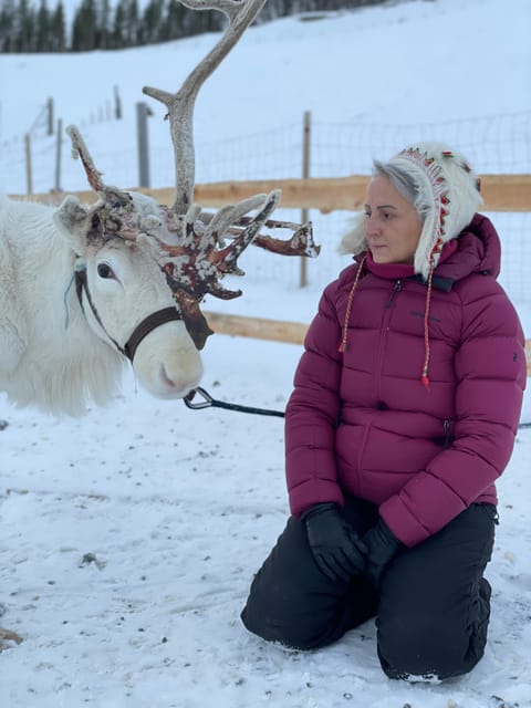 Alta: Sami Cultural Experience with Lavvu and Reindeers - Your 90 Minutes: What Happens in the Lavvu Tent