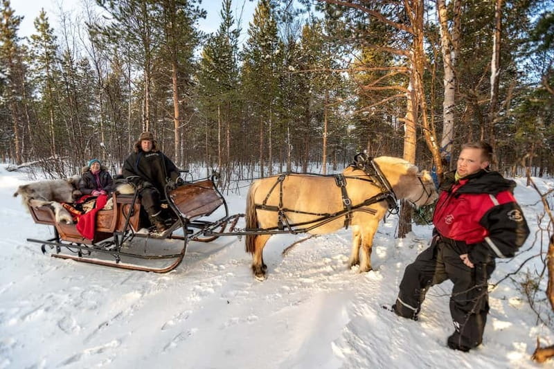 Alta: Sleigh Ride in the Arctic Countryside - Key highlights worth your attention