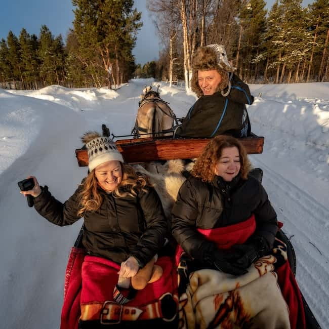Alta: Sleigh Ride in the Arctic Countryside - Following the sleigh bells through the forest and along the Alta River