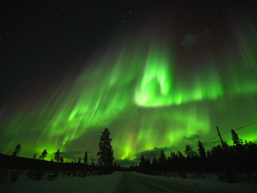 Alta: Small-Group Guided Northern Lights Tour - Key things that make this Alta aurora hunt work