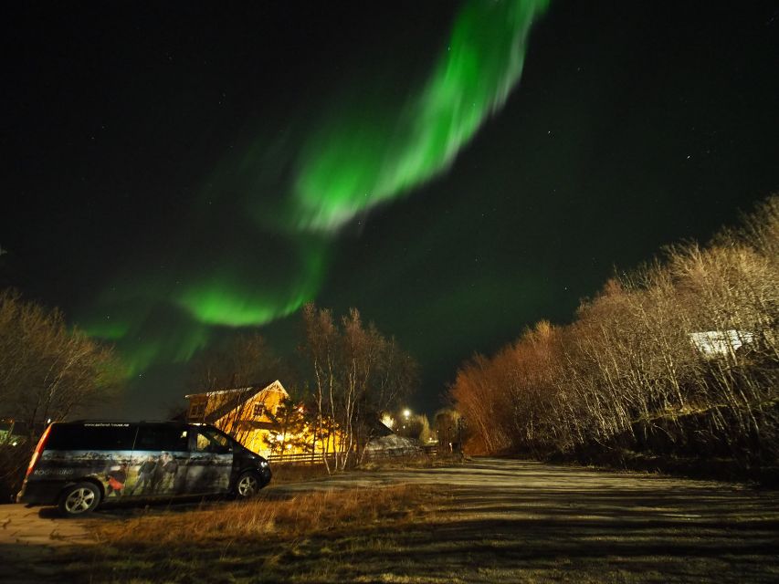 Alta: Small-Group Guided Northern Lights Tour - How a 4-hour aurora hunt in Alta feels, once you are in the van