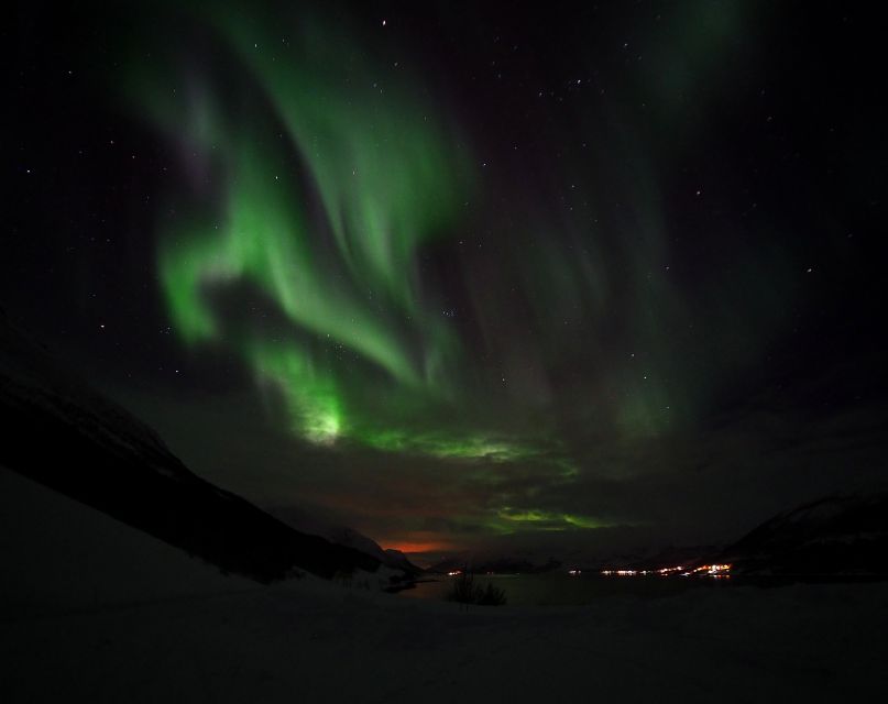 Alta: Small-Group Guided Northern Lights Tour - Campfire vs quick stops: warm breaks that keep the night from dragging