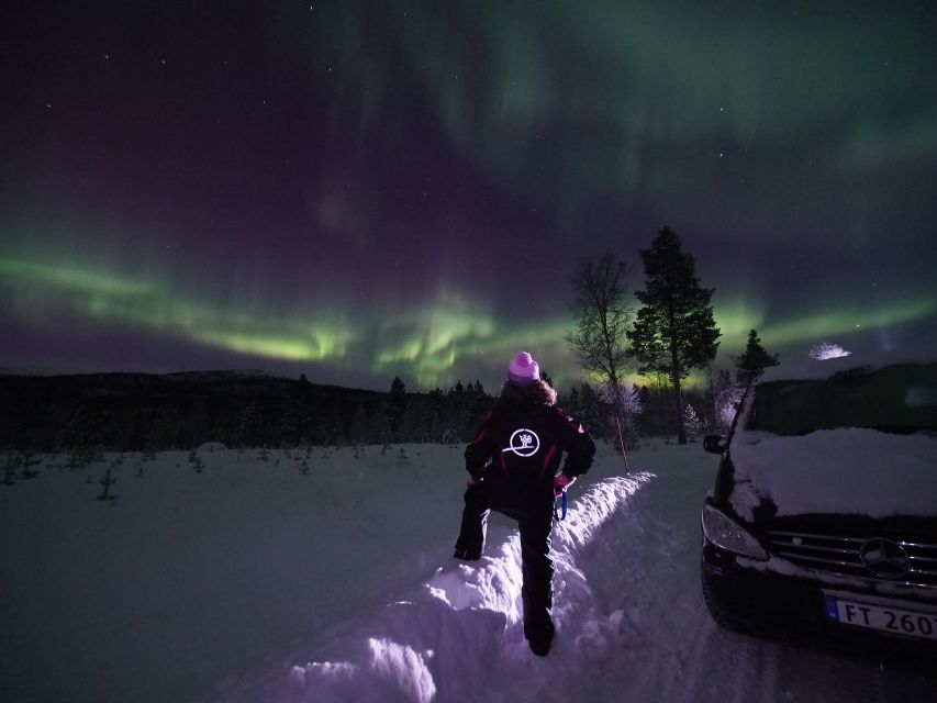 Alta: Small-Group Guided Northern Lights Tour - Warm gear and comfort: what you get, what you should bring