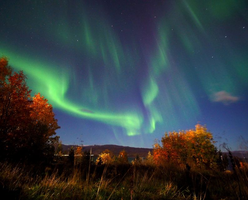 Alta: Small-Group Guided Northern Lights Tour - Languages and small-group vibe: why the guides feel personal