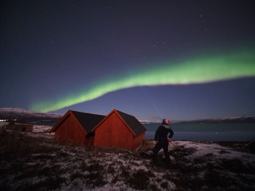 Alta: Small-Group Guided Northern Lights Tour - The 80 to 90 percent claim, and the reality you should plan for