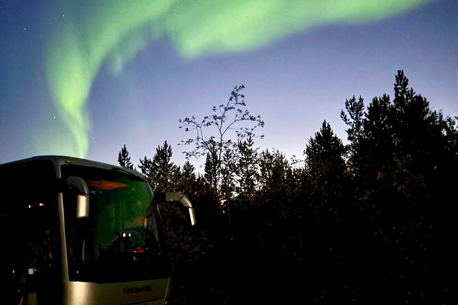 Alta:The Northern Lights Bus – a comfortable Arctic journey - Dress, gear, and the simple rules that make or break the night