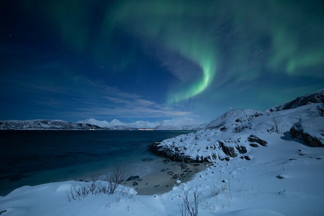 An All-Inclusive Tour - Aurora & Arctic Experience - Key things you’ll notice on this Tromso aurora chase