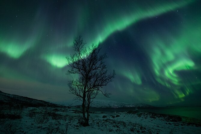 An All-Inclusive Tour - Aurora & Arctic Experience - Price and value in Tromsø, what you truly get for $258.22