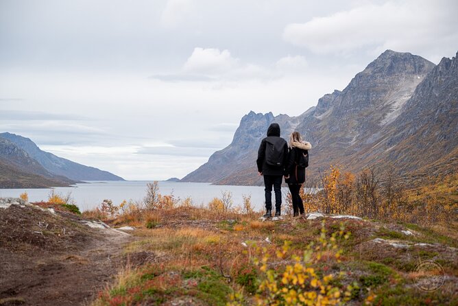 Arctic Fjord Roadtrip with Scenic Picnic from Tromso - From Tromsø City Centre to Kvaløya: How the Timing Usually Feels