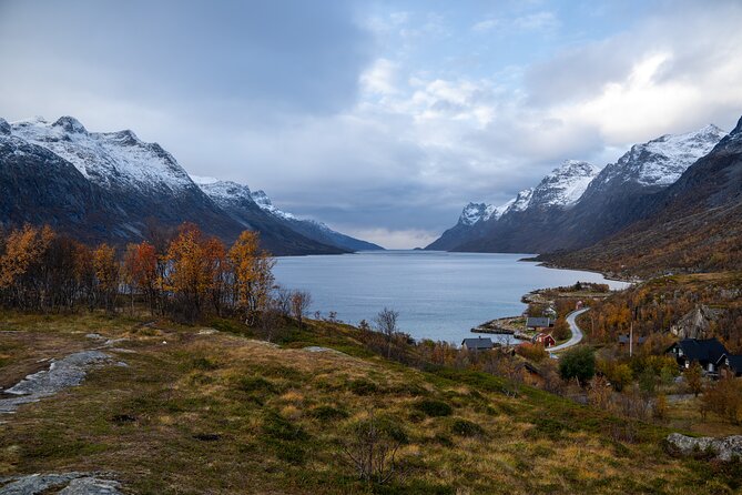 Arctic Fjord Roadtrip with Scenic Picnic from Tromso - Wildlife and Roadside Moments: How to Enjoy the Stops Without Chasing Them