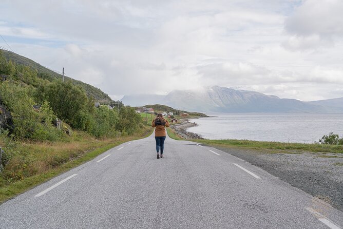 Arctic Fjord Roadtrip with Scenic Picnic from Tromso - What You Get for $151.15: Value That Adds Up Fast