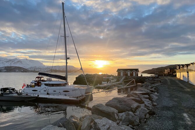 Arctic Fjordcruise & Safari in Tromso with Luxury Catamaran - The half-day sweet spot: luxury comfort in a short Tromso outing