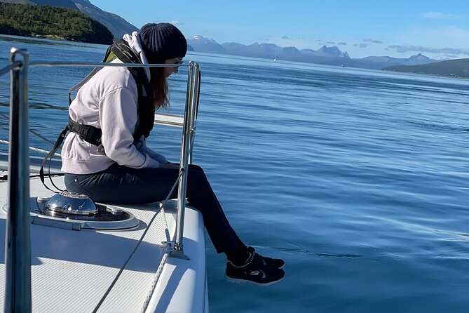 Arctic Fjordcruise & Safari in Tromso with Luxury Catamaran - Tromso fjord cruising: what you’ll actually see in 3 hours