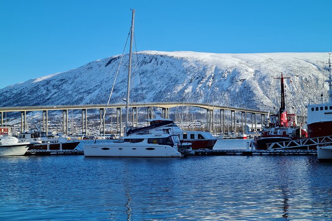 Arctic Fjordcruise & Safari in Tromso with Luxury Catamaran - Fjellheisen views: seeing Tromso from the water’s angle