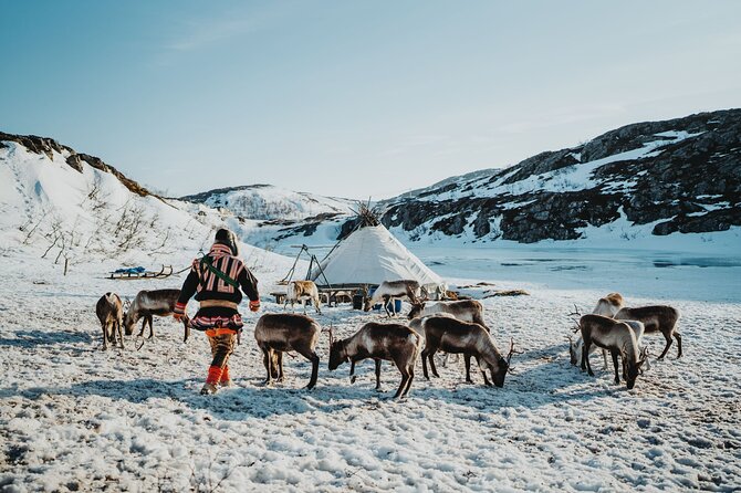 Arctic Fjords and Reindeer Experience – Small group tour - Key things that make this tour worth your time