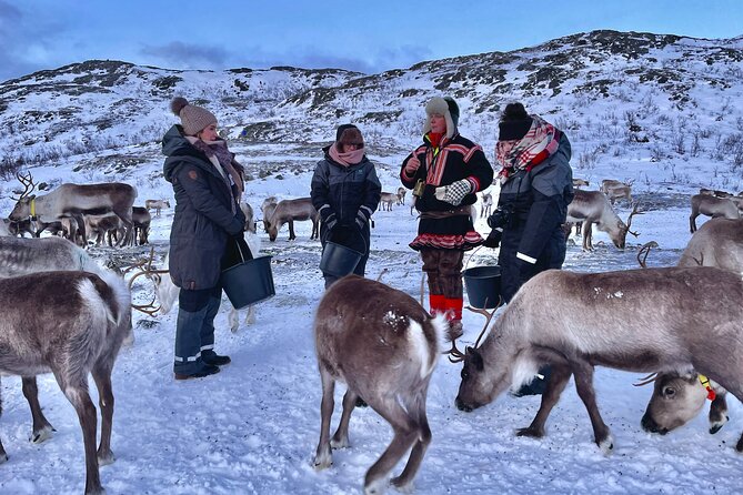 Arctic Fjords and Reindeer Experience – Small group tour - Stop 2: Kattfjord skole Sami reindeer herder, lavvo fire, and Joik