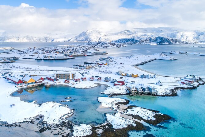 Arctic Fjords and Reindeer Experience – Small group tour - Stop 3: Sommarøy islands time, then lunch at Sommarøy Arctic Hotel