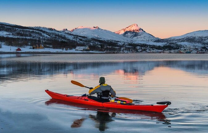 Arctic Fjords Road Trip - Key things to know before you go