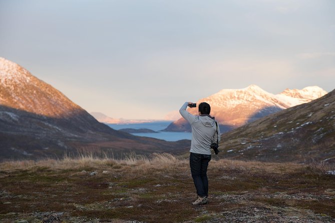 Arctic Fjords Road Trip - Why Kvaløya and Prostneset are the right first move